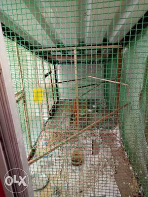 Big cage 7 feet size dor low price of 