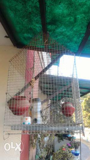 Bird cage with Feeder