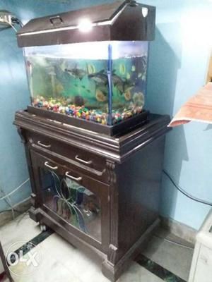 Black Framed Aquarium With Brown Cabinet Stand