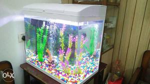 Brand New Imported Fish Aquarium Available for