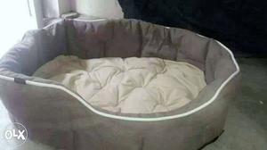 Dog new bed