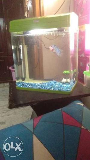 Filter, aquarium tank and fish together for 
