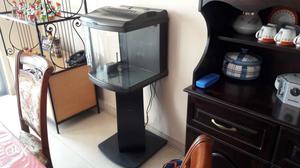 Fish Tank Imported, Boyu with wooden stand