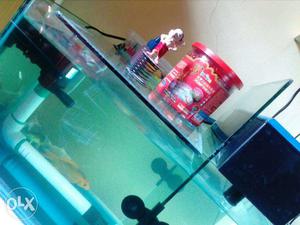 Fish Tank and water clean motors
