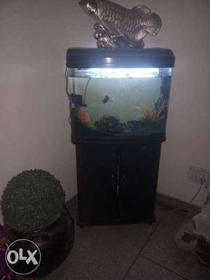 Fish aquarium for sale purched for rupees /-