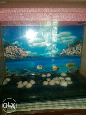 Fish tank 2.5 inches with white and colouring stones if any