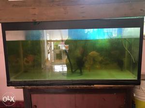 Fish tank  and 10 mm thickness on all sides