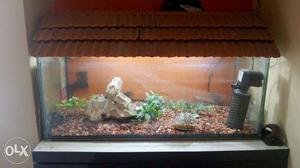 Fish tank for sale-Pune