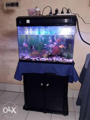 Fish tank for sale with fishes and stones