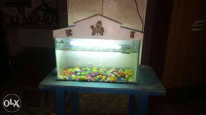 Fish tank full kit available