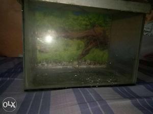 Fish tank good condition with bulb holder