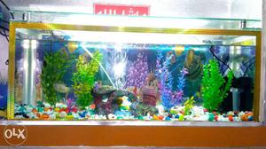 I sell my fish aquarium 30→W X 12↑H CM with