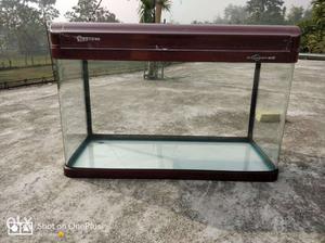 Imported moulded aquarium with cover and power filter for