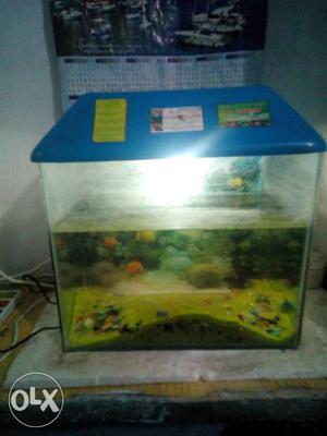Very nyc aquarium for sale with all filter airpump asericess