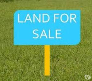 13Biswa Prime Location Commercial Land Hotel Site In Madna M