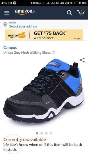 Black And Blue Campus Mesh Walking Shoe