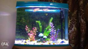 Brand new aquarium including heater and 2 fishes
