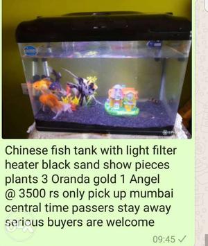 Chinese Fish Tank With Light Filter