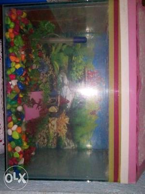Fish aquarium only for 500 if interested in