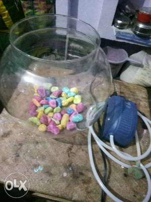 Fish bowl+fish oxygen machine+coloured stones.