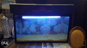 Fish tank with fancy top. back wallpaper and
