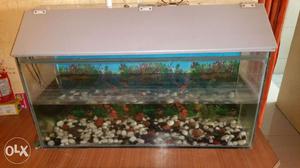 I want to sell my fish tank of Size-91cm