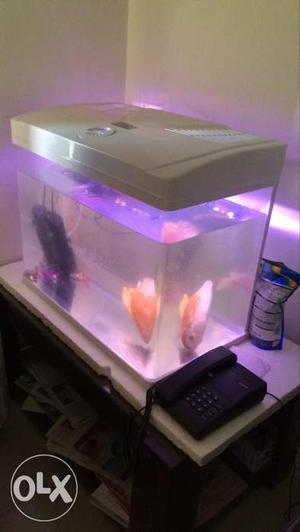 2 by 1.5 by 1.5 imported one piece fish tank with