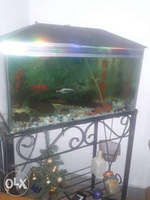 2×1 ft Good condition fish tank ardent sell