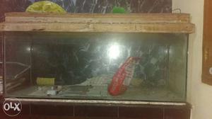 4 X 1.5 X 1.5 feet fish tank for sale
