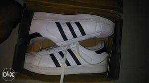 Adidas Superstar With Box and tag