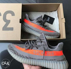 Adidas yeezy shoe (available in all sizes)