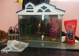 Aquarium Fish Tank Newly bought includes oscar