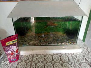 Aquarium (Fish Tank) Size:2ft x 1ft. including