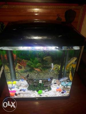 Aquarium New product expect fish all parts for