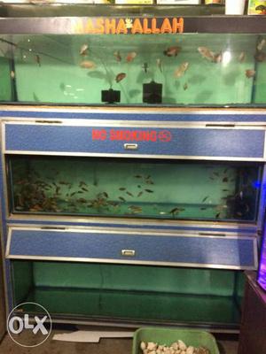 Aquarium racks for shop use