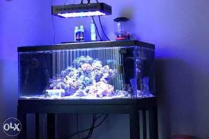 Aquarium & reef full spectrum Hydroponics etc LED lights