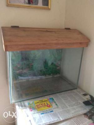 Aquarium with wooden roof in excellent condition