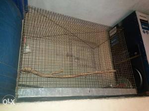 Big saiz bards cage in good condition
