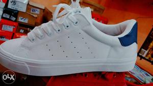 Brand New Canvas Sneaker with beautyfull funky