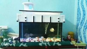 Cuboid White Framed Fish Tank