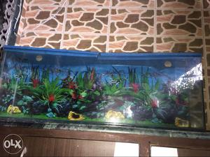 Empty fish tank with all accesories, only 5 month