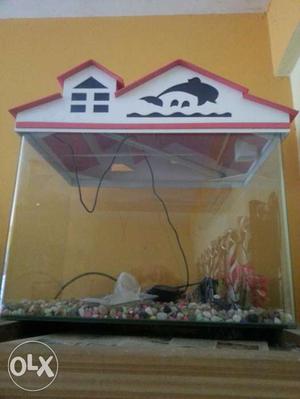 Fish Tank with submersible filter