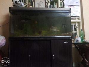 Fish tank- Good condition
