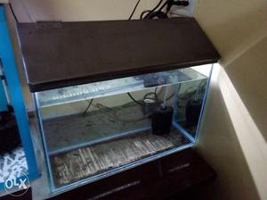 Fishtank with filter,light,cover and fish