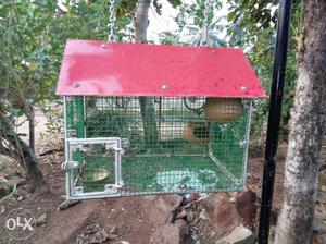 Gray And Red Framed Screen Pet Cage