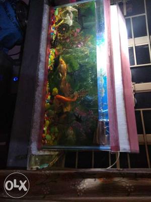 High Quality Aquarium With 19 Different Types Of