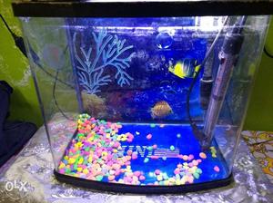 I want to sell my complete aquarium.. just 5month