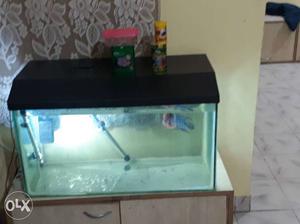 I'm selling my tank flower.horn fish and food
