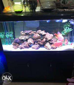 Imported aquarium tank 4 feet
