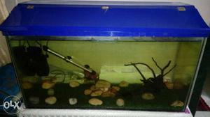 New fish tank available with fliter n hitter n stone all set